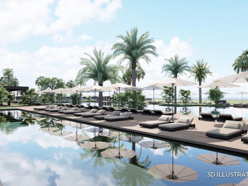 Luxusní bazénová oblast s lehátky a palmami za slunečného dne.