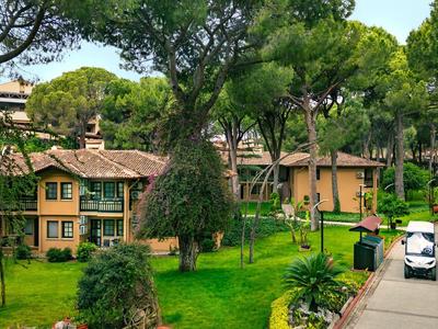 Green hotel grounds with trees, lawn, and a car on the road beside the building.