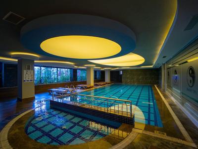 Verwarmd binnenzwembad met moderne plafondverlichting en uitzicht op het bos.