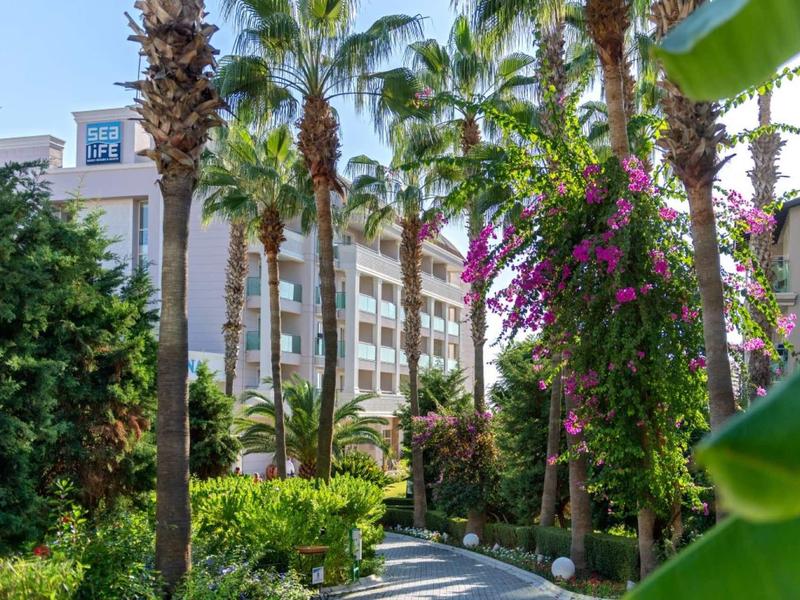 Ein sonniger Weg umgeben von Palmen und bunten Blumen vor einem großen weißen Gebäude.