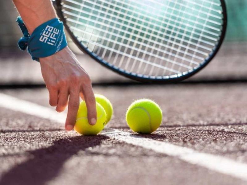 Eine Hand legt Tennisbälle auf den Platz, neben einem Tennisschläger und einem blauen Armband.