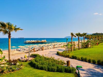 View of a beach with palm trees, green lawn, and walking paths under a blue sky.