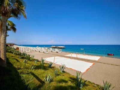 Beach with palm trees, white lounge chairs, and clear blue sky by the sea.