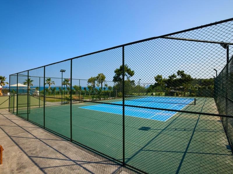 Freiluft-Tennisplatz mit grünem Boden und blauem Spielfeld unter klarem blauem Himmel.