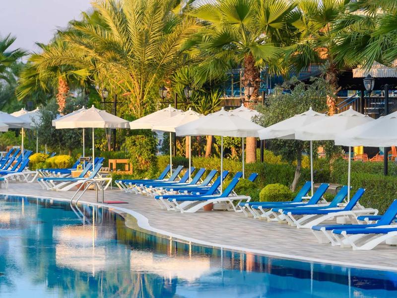 Longue piscine avec des transats bleus et des parasols blancs entourés de palmiers.