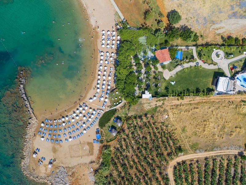 Vue aérienne d'une plage avec chaises longues à côté de terres agricoles et d'un hôtel.