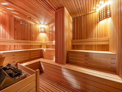 Houten sauna met banken en een saunakachel met stenen, warme verlichting binnen.