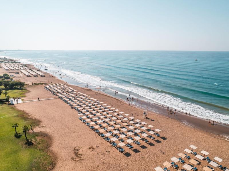Longue plage de sable avec des rangées de parasols et de chaises longues au bord d'une mer bleue calme.