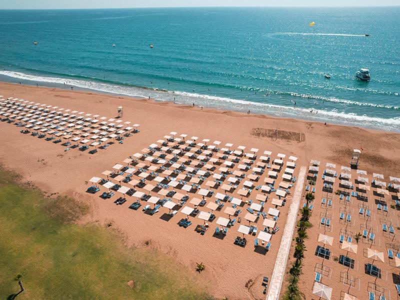 Een strand met rijen ligbedden en parasols aan de blauwe zee onder een heldere lucht.