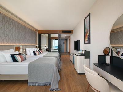 Modernes Hotelzimmer mit Doppelbett, Schreibtisch, TV und Holzfußboden.