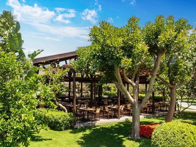 Zelená zahradní oblast s stromy a zastřešeným posezením pod slunečnou oblohou.