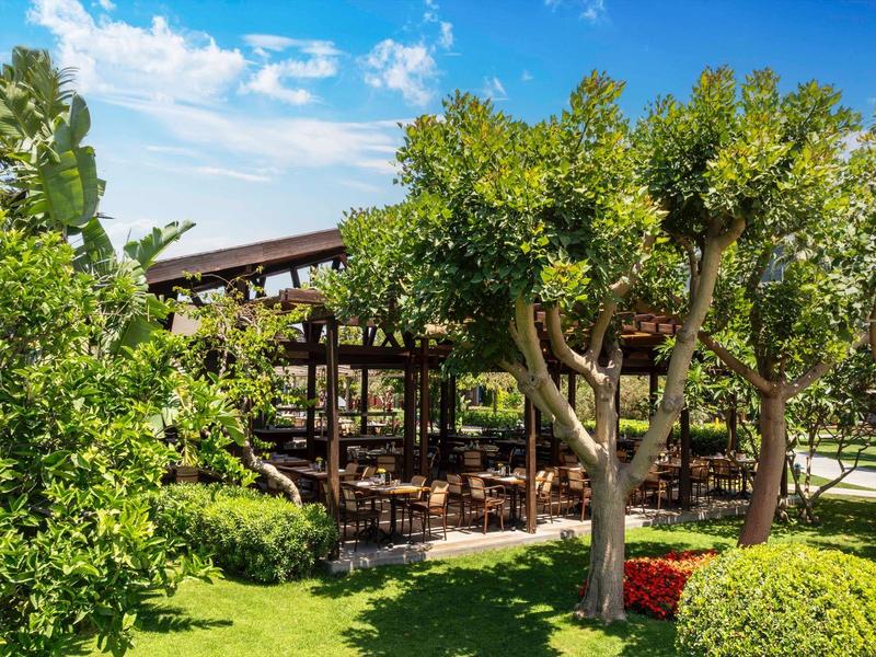 Zelená zahradní oblast s stromy a zastřešeným posezením pod slunečnou oblohou.