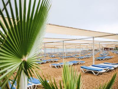 Spiaggia sabbiosa vuota con molte sdraio blu sotto tende bianche e foglie di palma in primo piano.