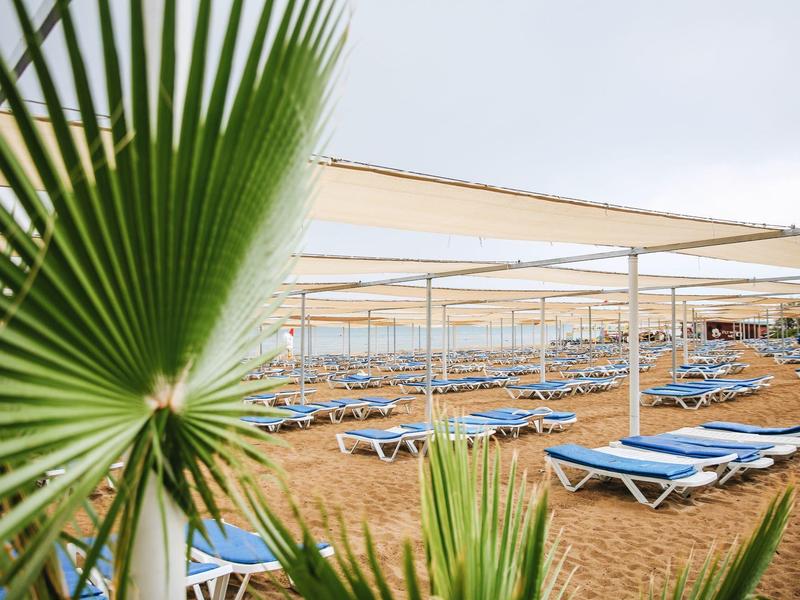 Spiaggia sabbiosa vuota con molte sdraio blu sotto tende bianche e foglie di palma in primo piano.