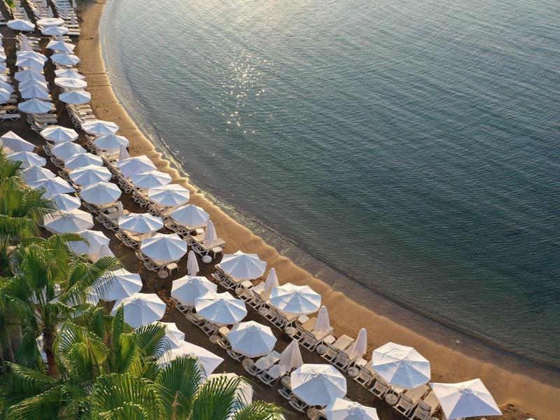 Ptačí pohled na pláž s bílými slunečníky a modrým mořem.