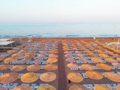 View of a beach with rows of round umbrellas and lounge chairs by the sea.