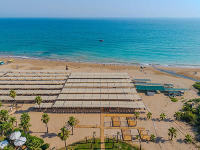 Strand mit Reihen von Sonnenschirmen und Palmen am klaren blauen Meer