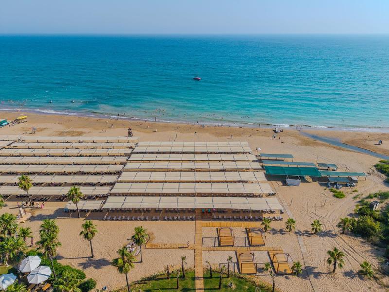 Strand mit Reihen von Sonnenschirmen und Palmen am klaren blauen Meer
