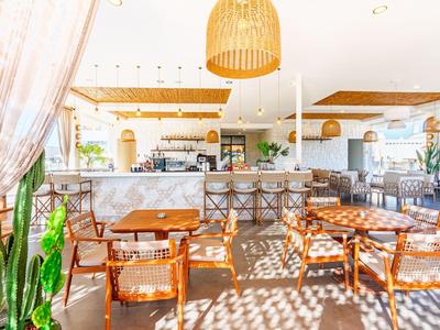 Světlá moderní kavárna s dřevěným nábytkem, rostlinami a velkým barem v pozadí.