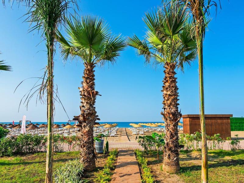 Weg mit Palmen führt zu Strand und blauem Meer unter klarem Himmel.