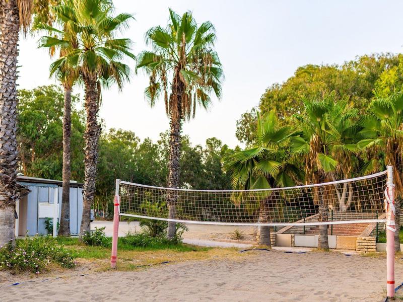 Cancha de voleibol al aire libre rodeada de palmeras en un área verde de hotel.