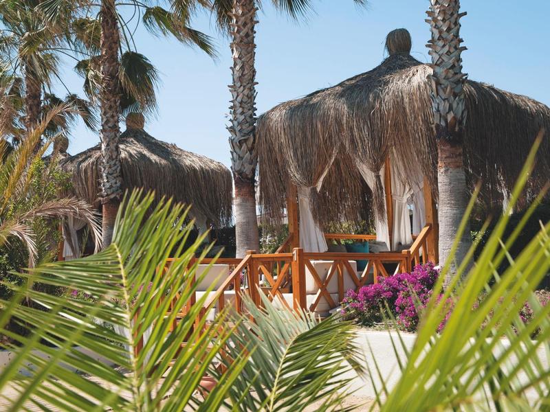Hutten met rieten daken en houten terrassen, omgeven door palmbomen en kleurrijke planten.