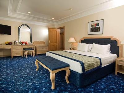 Camera d'albergo con moquette blu, letto matrimoniale, comodini e toeletta con specchio.