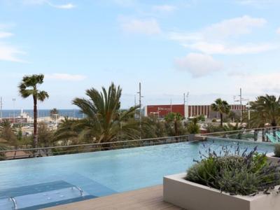 Infinity-Pool mit klarblauem Wasser, umgeben von Pflanzen, Palmen und weiter Sicht auf Himmel und Meer.