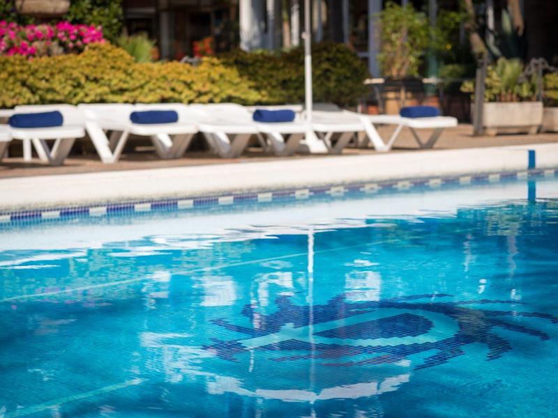 Superficie de agua clara y azul de la piscina con tumbonas y plantas al fondo.