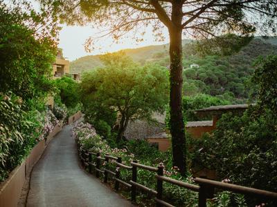 A narrow path winds through a green forest with fences and trees in a hilly area.