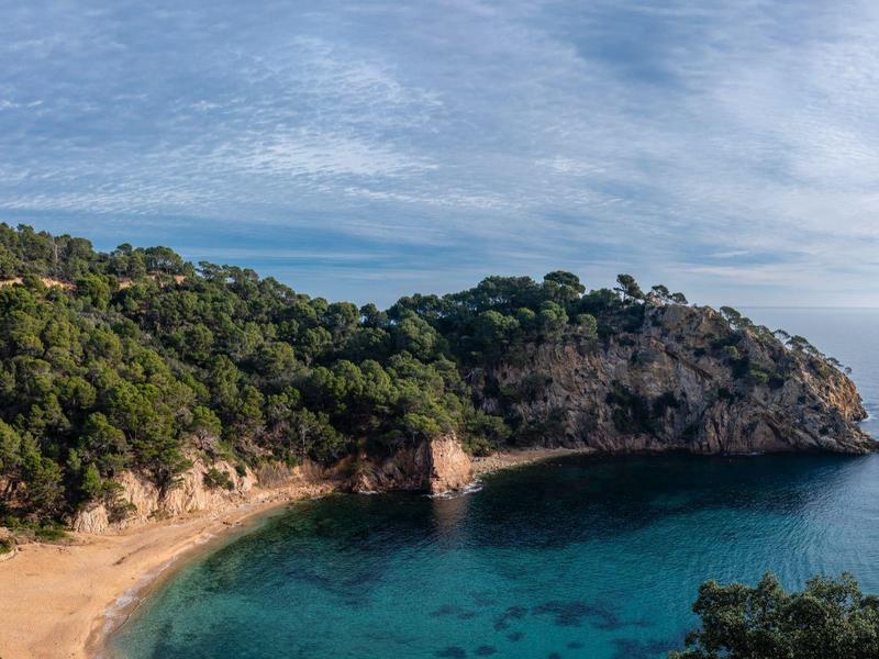 Panoramic view of a rocky coast with clear water and wooded hills under a blue sky