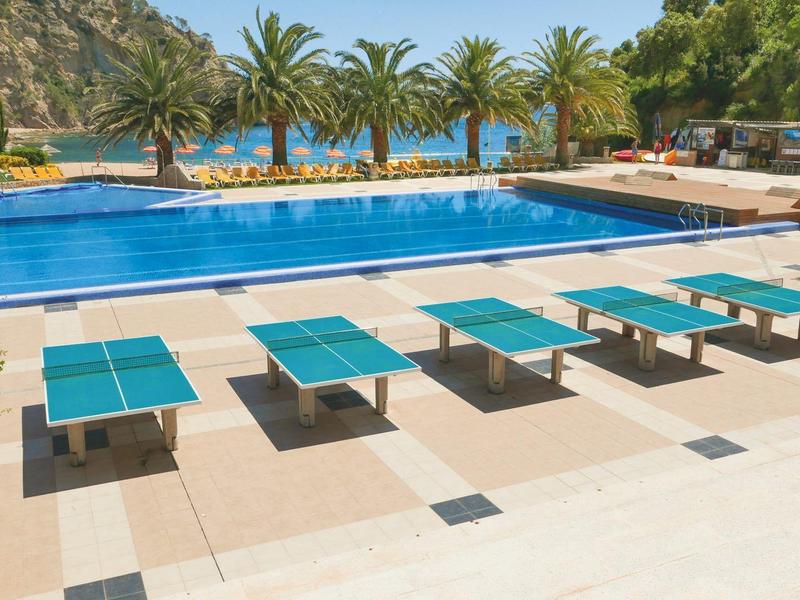 Pool area with loungers, palm trees, and mountain view in a sunny vacation spot.