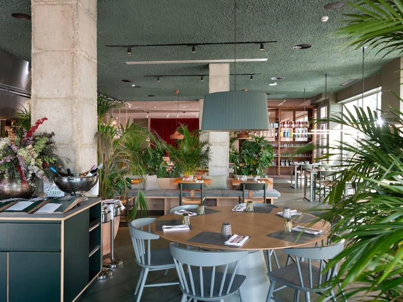 Restaurante moderno de hotel con mesas de madera, sillas y muchas plantas verdes en un día luminoso.