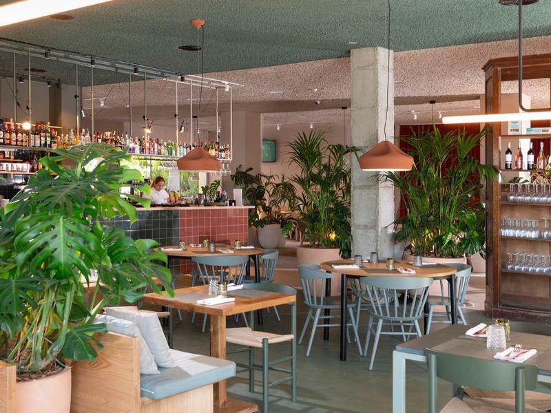 Restaurante moderno con decoración de madera y metal, plantas y luz natural, ideal para huéspedes.
