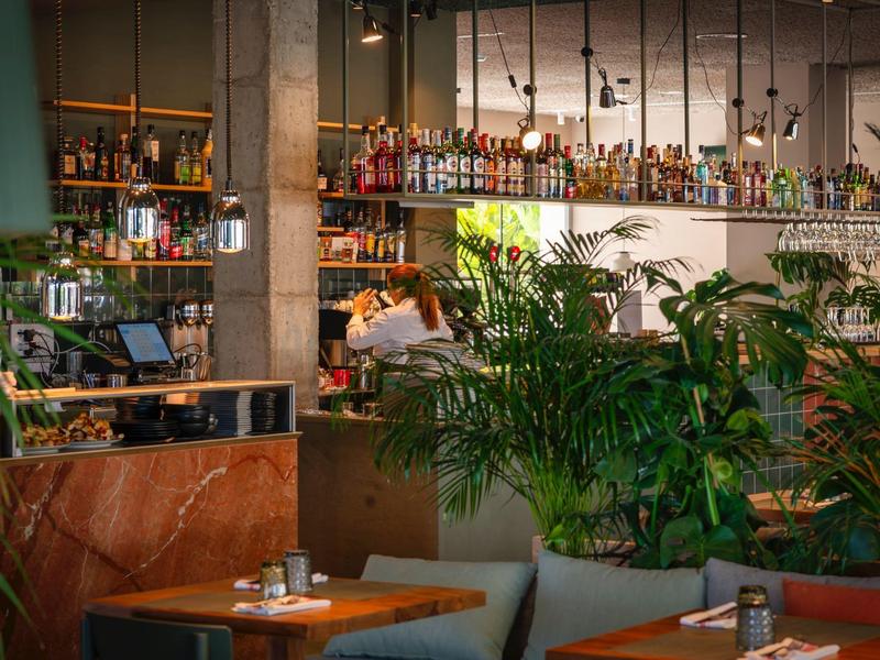 Bar de hotel acogedora con mesas de madera, plantas verdes y estantes llenos de botellas al fondo.