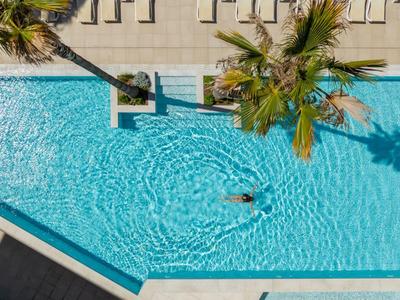 Klares, blaues Schwimmbad mit zwei Palmen und einer einzelnen Person beim Schwimmen.