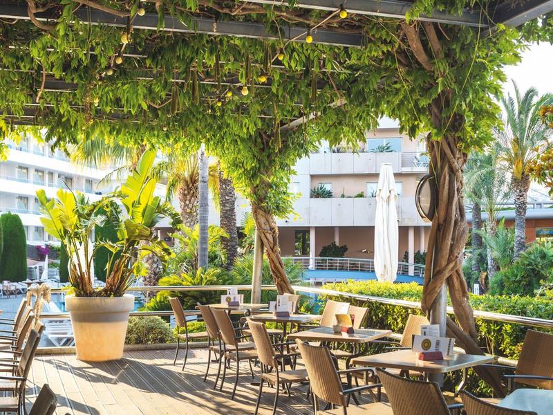 Outdoor-Café mit Holztischen, Stühlen und grünem Blätterdach an sonnigem Tag.