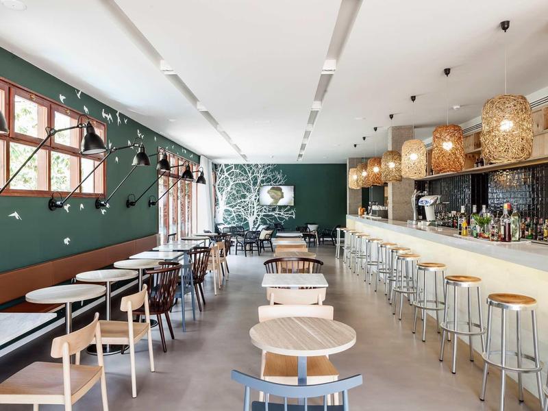 Café moderno con paredes verdes, sillas de madera y taburetes en una barra larga.