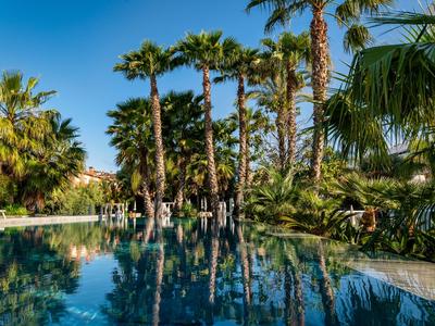 Pool mit klarem Wasser umgeben von hohen Palmen und grünem tropischem Laub an einem sonnigen Tag.