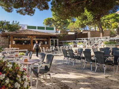 Buitenzitgedeelte van een café met lege tafels en stoelen onder bomen in zonlicht.