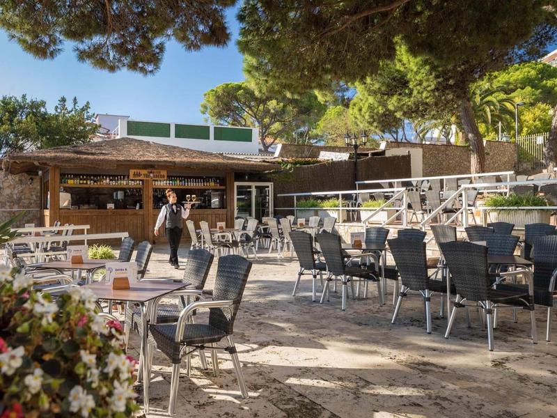 Buitenzitgedeelte van een café met lege tafels en stoelen onder bomen in zonlicht.