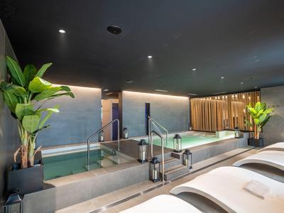 Moderní wellness prostor s bazény, rostlinami a lehátky pod tmavým stropem.