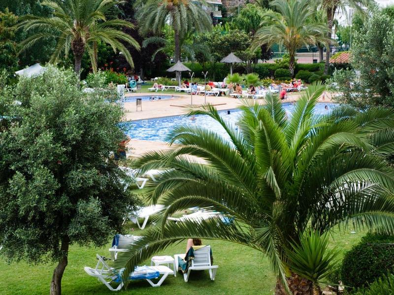 Giardino verde con lettini e piscina circondata da palme.