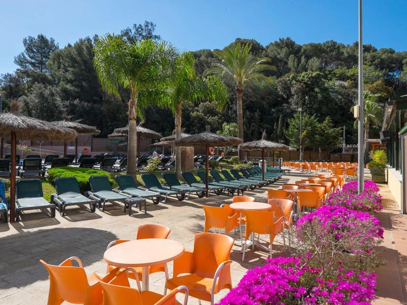 Strefa zewnętrzna z pomarańczowymi stolikami, leżakami i palmami w słonecznym kurorcie.