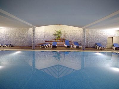 Indoor swimming pool with lounge chairs and a small plant in a serene setting.