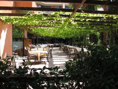Sunny outdoor dining area with tables, chairs, and green vine canopy.