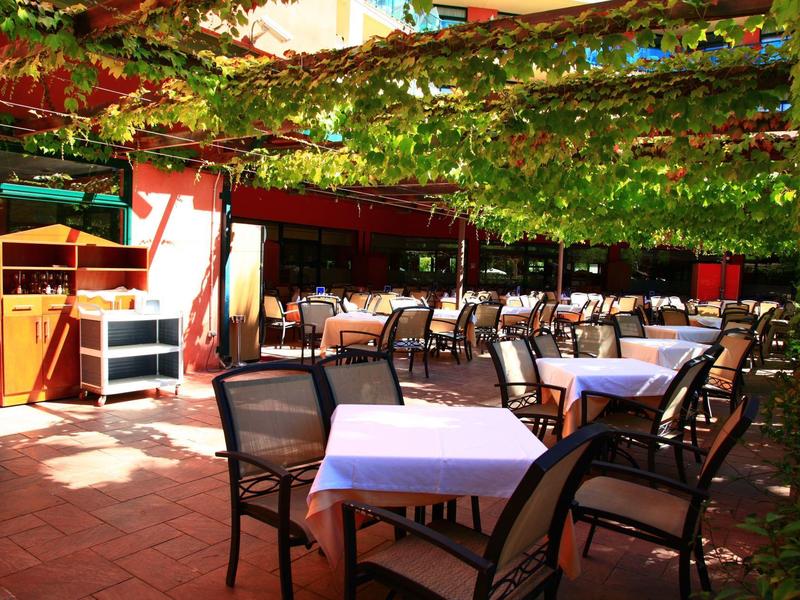 Outdoor dining area with tables, chairs, and green vines overhead.