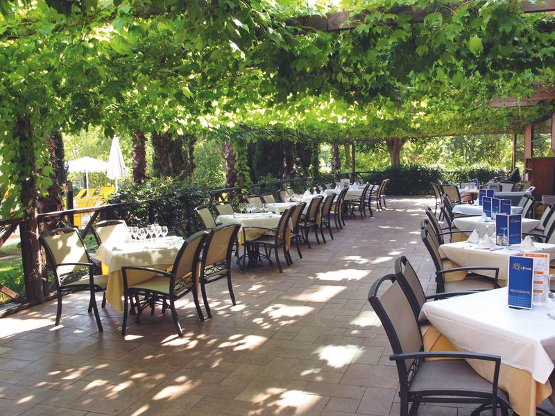 Outdoor dining area with tables and chairs under a canopy of green leaves.