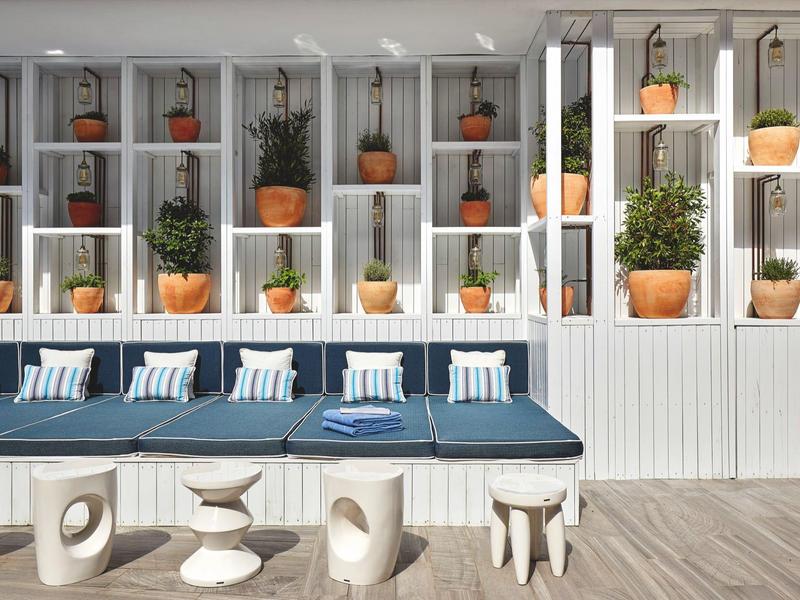 Área de lounge luminosa con plantas en macetas y cojines azules frente a estanterías blancas.