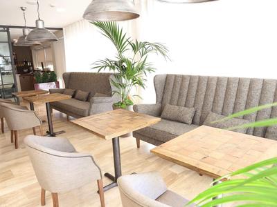 Bright café with comfortable chairs, wooden tables, and large green plants.